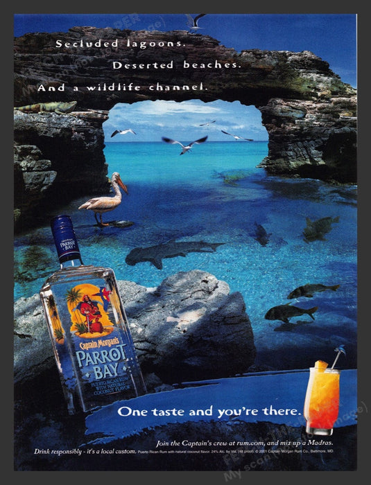 2002 Captain Morgan's Parrot Bay Pelican Sharks Fish Print Advertisement Ad