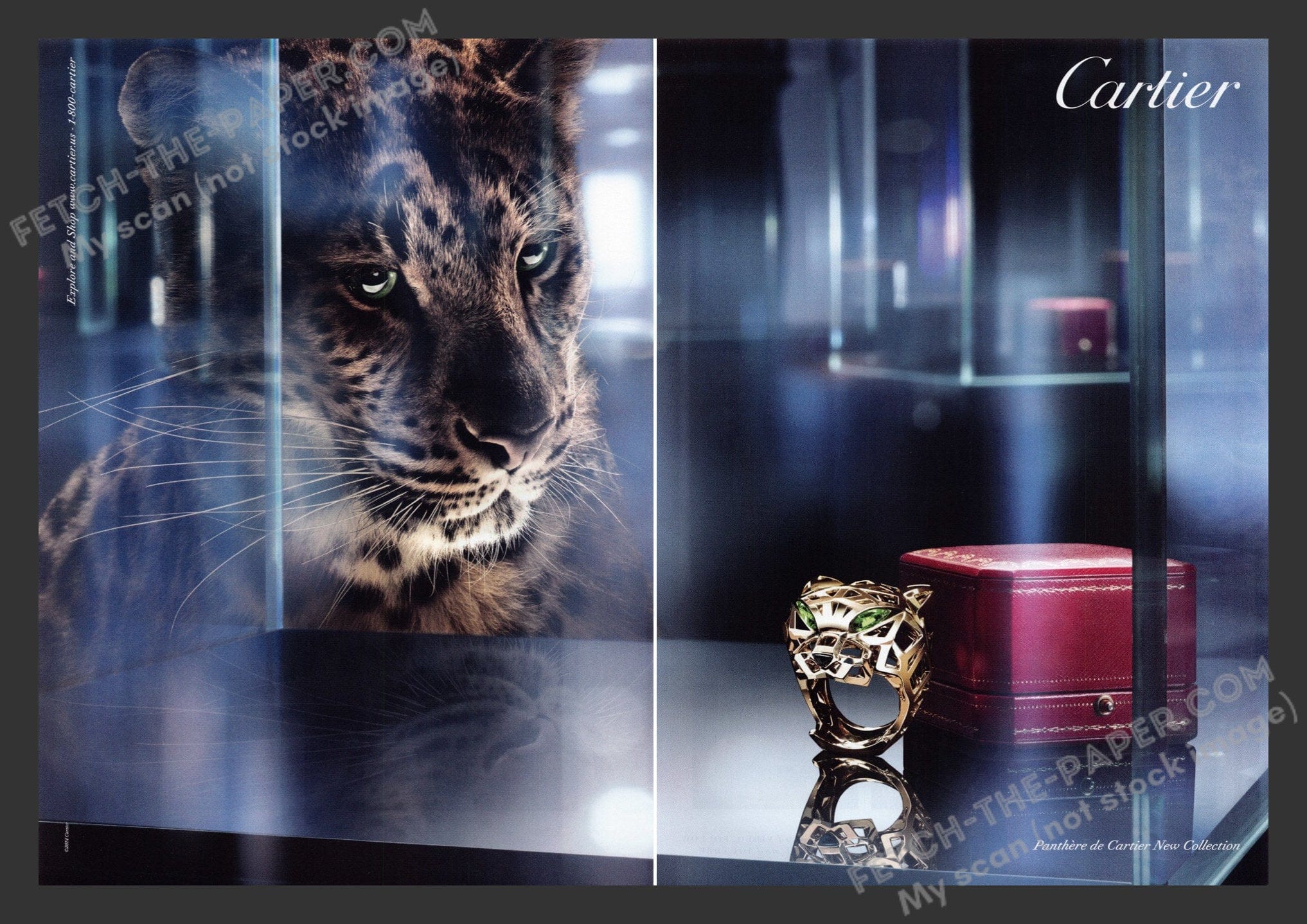 Cartier Jewelry Leopard Panther Ring 2010s Print Ad — Fetch