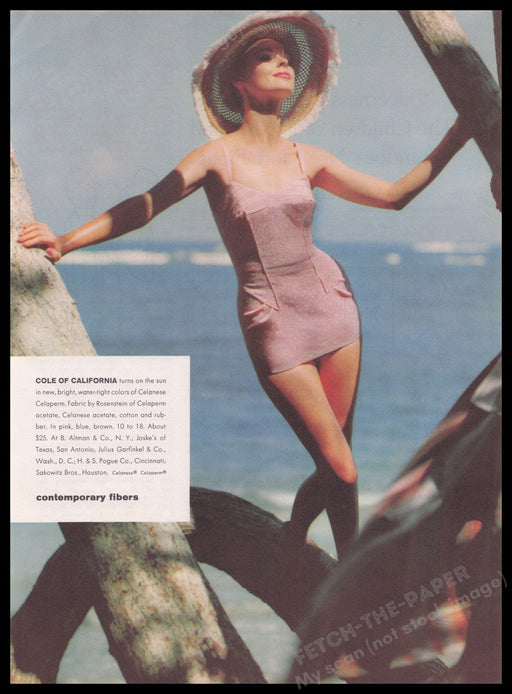 Celanese Fibers 1960s Print Advertisement Ad 1960 Cole of California Swimwear Fetch the Paper!