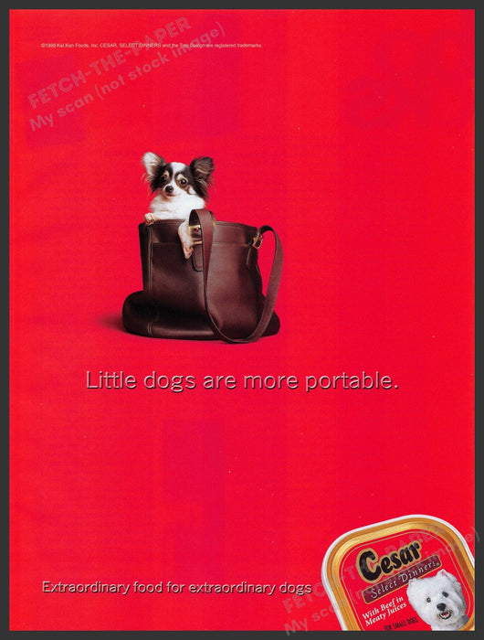 Cesar Dog Food Papillon 1990s Print Advertisement Ad 1999 Fetch the Paper!