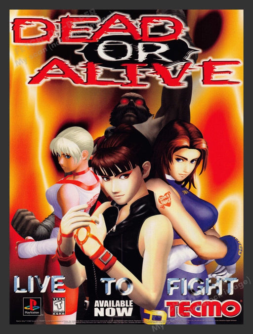 1998 Dead or Alive Tecmo Live to Fight Video Game Print Advertisement