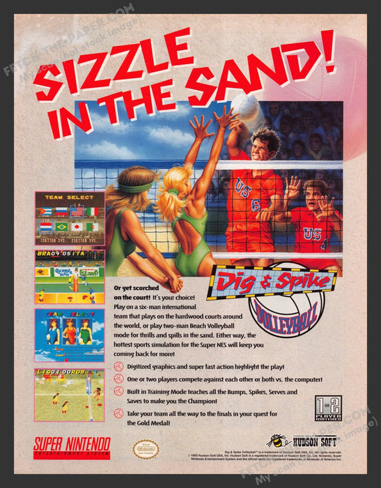 1993 Print Advertisement Dig & Spike Volleyball Video Game Ad.