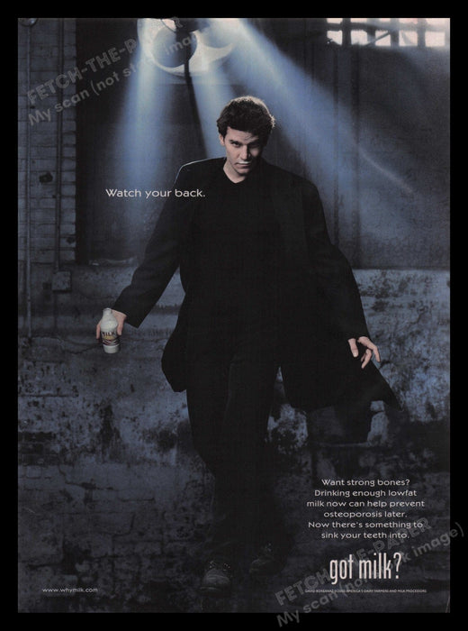 Got Milk? 2000s Print Advertisement 2000 David Boreanaz Vampire Actor Fetch the Paper!