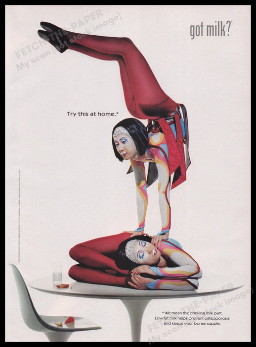 Got Milk? 2000s Print Advertisement Ad 2002 Fetch the Paper!