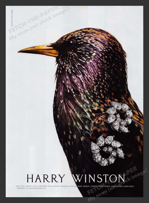 Harry Winston 2000s Print Advertisement 2007 Jewelry Starling Bird Beautiful Fetch the Paper!