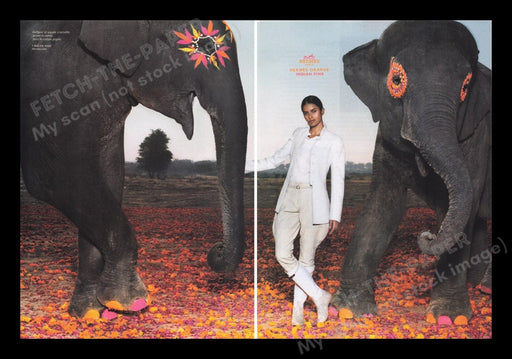 Hermes Paris 2000s Print Advertisement (2 pages) 2008 Asian Elephants Fetch the Paper!