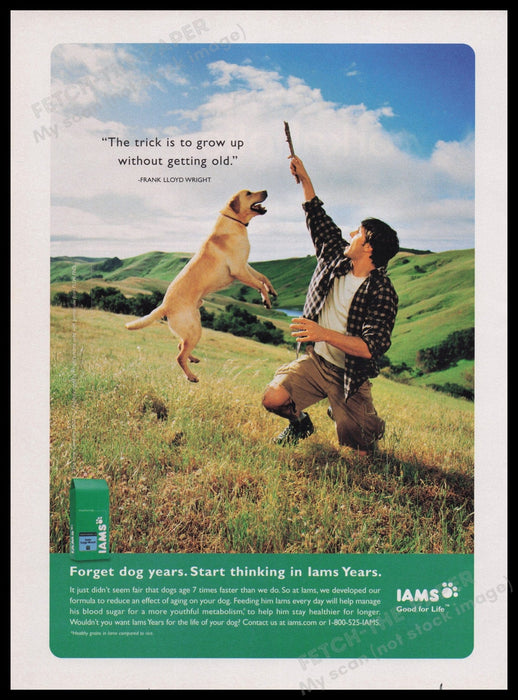 Iams Dog Food 2000s Print Advertisement Ad 2003 Fetch the Paper!