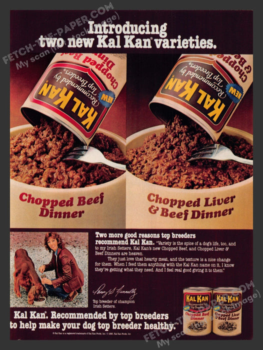 1983 Print Advertisement Kal Kan Dog Food Irish Setter Champion Ad.