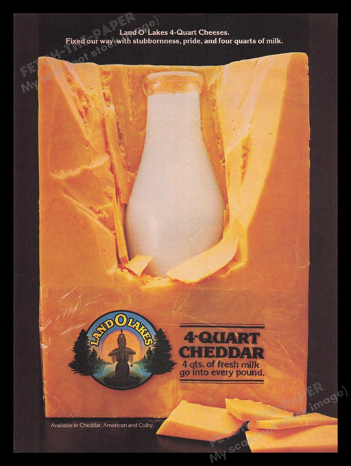Land O Lakes 1980s Print Advertisement Ad 1982 Cheddar Cheese Fetch the Paper!
