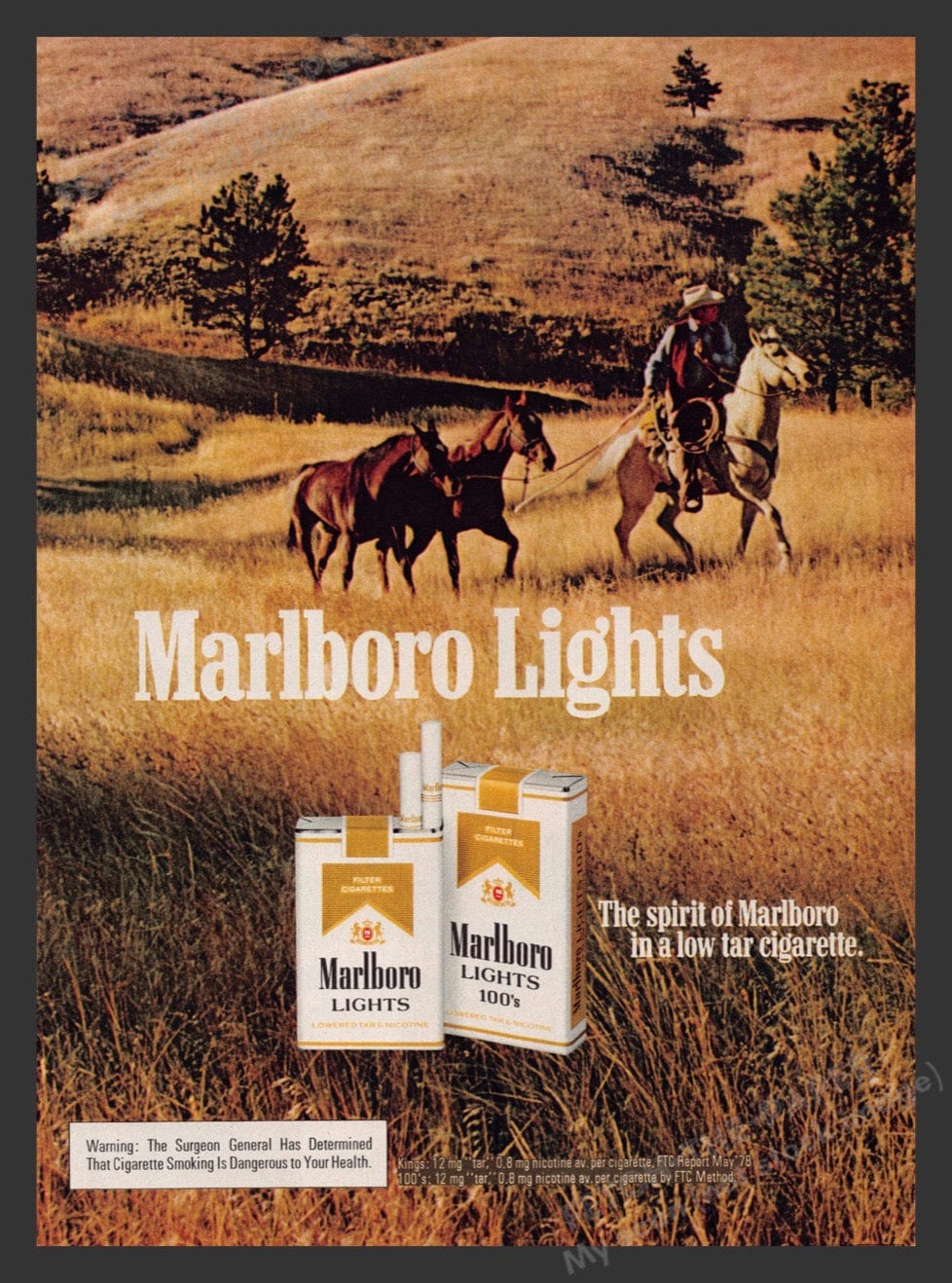 cigarette montego Montego Red 100s Box - Carton