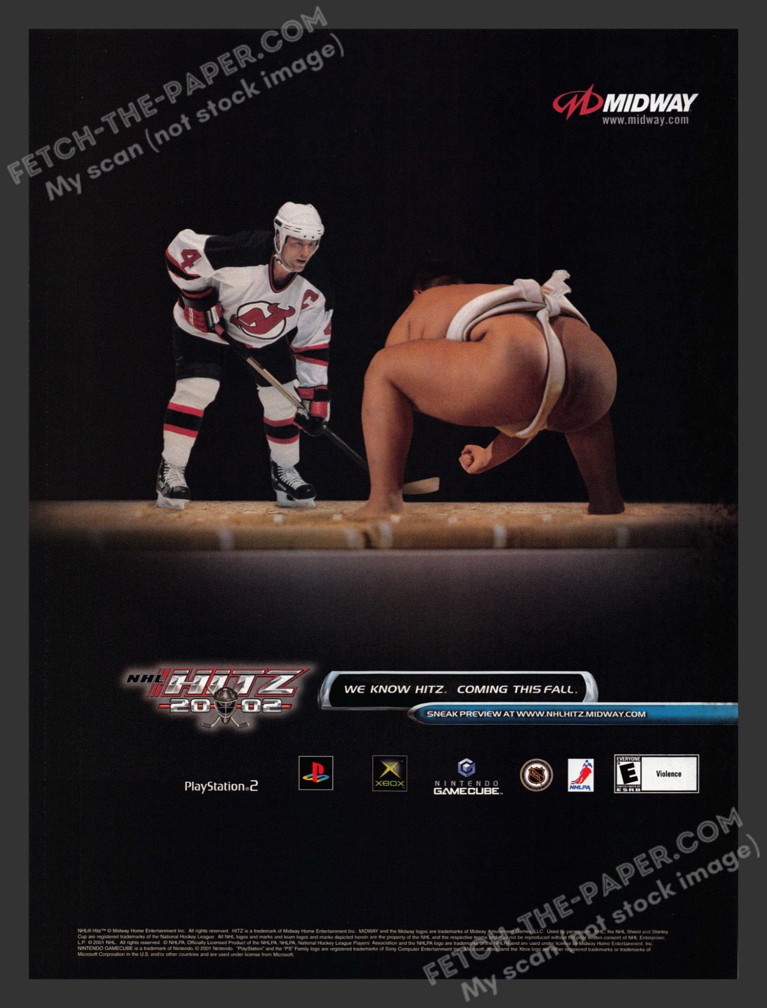 邦楽 Japanese sampling sports rhymester SAKAIZAWA KENICHI JAPAN SUMO TRADING CARD BBM 2010 No.56
