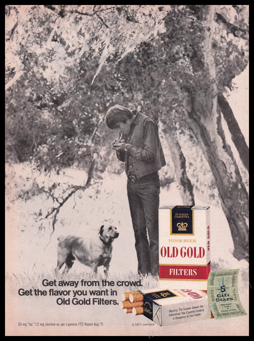 Old Gold Cigarettes 1970s Print Advertisement Ad 1972 Yellow Lab Dog Man Fetch the Paper!