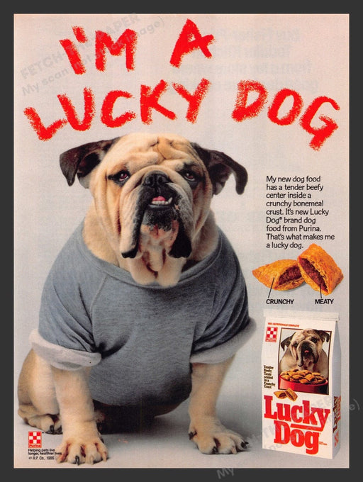 1986 Purina Lucky Dog Food Bulldog in a Sweatshirt Print Advertisement Ad