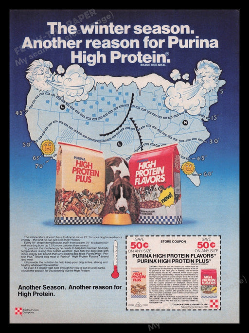 Purina High Protein Dog Food 1980s Print Advertisement Ad 1982 Springer Spaniel Fetch the Paper!