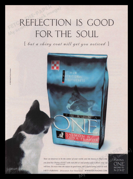 Purina One Cat Food Reflection 2000s Print Advertisement 2000 Fetch the Paper!