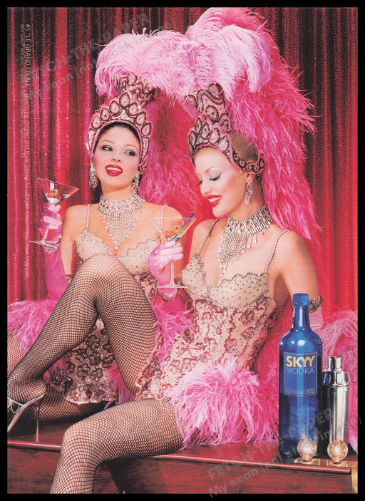 Skyy Vodka 2000s Print Advertisement Ad 2002 Fetch the Paper!