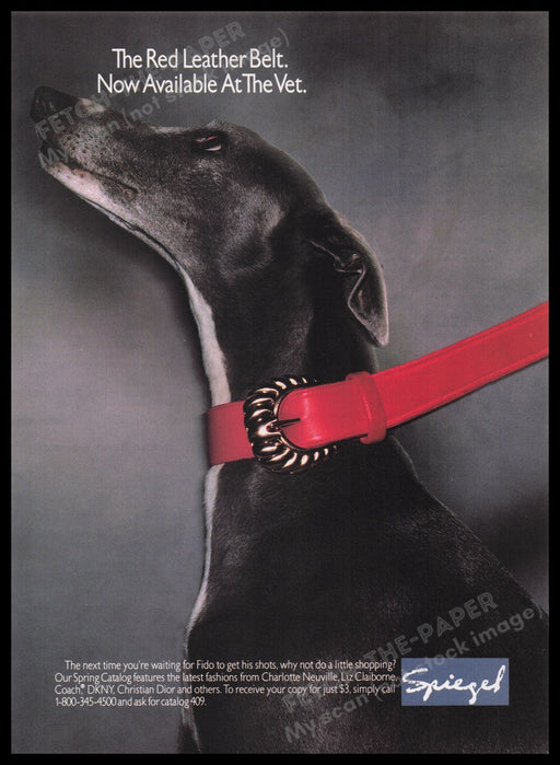 Spiegel 1990s Print Advertisement Ad 1990 Italian Greyhound Whippet Dog Fetch the Paper!