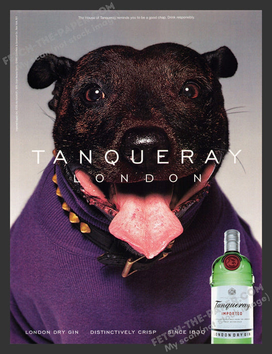 2000 Print Advertisement Tanqueray London Dry Gin Pibull Dog in Sweater Alcohol.