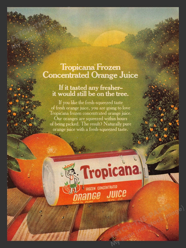 Tropicana Frozen Concentrate Orange Juice 1980s Print Advertisement Ad ...