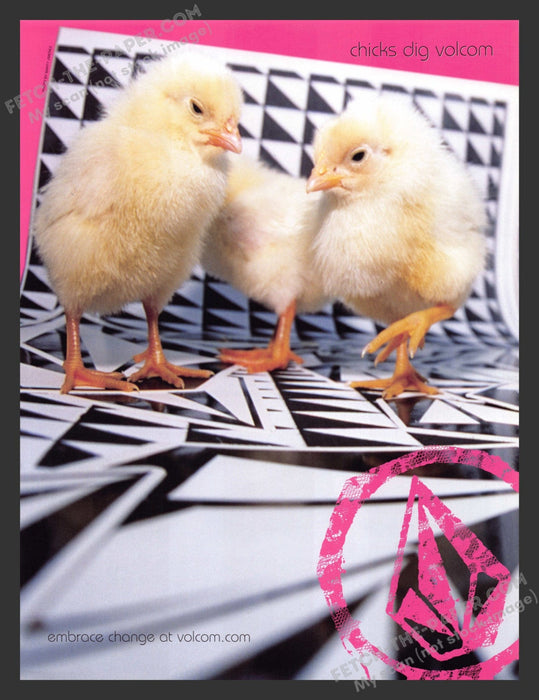 2003 Volcom "Chicks Dig Volcom" Clothing Skateboard Print Advertisement Ad.