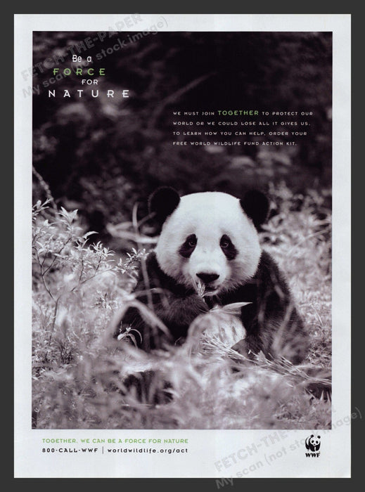 WWF 2000s Print Advertisement 2007 Panda World Wildlife Fetch the Paper!