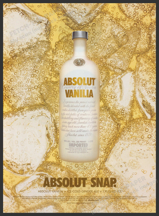Absolut Snap 2000s Print Advertisement 2004 Vanilla Ginger Ale Fetch-the-Paper