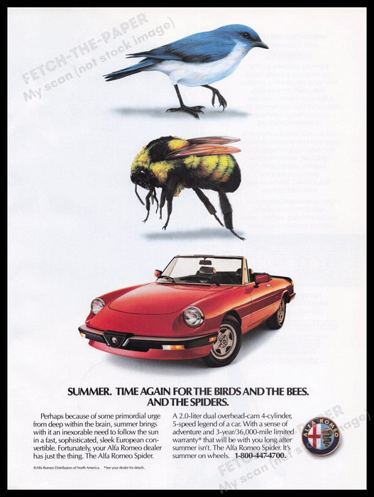 Alfa Romeo Spider 1980s Print Advertisement Ad 1989 Fetch the Paper!