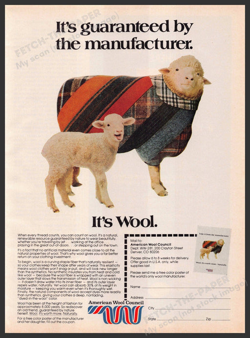 American Wool Council 1980s Print Advertisement 1981 Sheep & Lamb American Wool Council