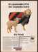 American Wool Council 1980s Print Advertisement 1981 Sheep & Lamb American Wool Council