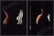 Avia Footwear 2000s Print Ad (2 page) 2002 Performance Design Fetch-the-Paper