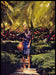 Bottega Veneta 2010s Magazine Print Advertisement 2012 Legs Palms Tropical Bottega Veneta