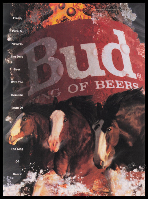 Budweiser King of Beers 1990s Print Advertisement Ad 1993 Clydesdales Fetch the Paper!