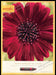 Burt's Bees 2010s Magazine Print Ad 2014 Flower "Nature reinvents the crayon" Burt's Bees