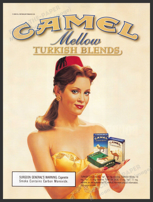 Camel Mellow 2000s Video Game Print Advertisement 2003 Turkish Blends Cigarettes Fetch-the-Paper