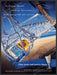 Captain Morgan Parrot Bay 2000s Print Advertisement 2002 Hammock Beach Fetch-the-Paper