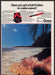 Carmen Roma & Rolla Hair Styling Products 1980s Print Advertisement Ad 1980 Fetch-the-Paper