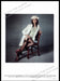 Celine Simon G. Falke 2010s Magazine Print Ad 2012 Legs Vintage Nurse Stockings Celine