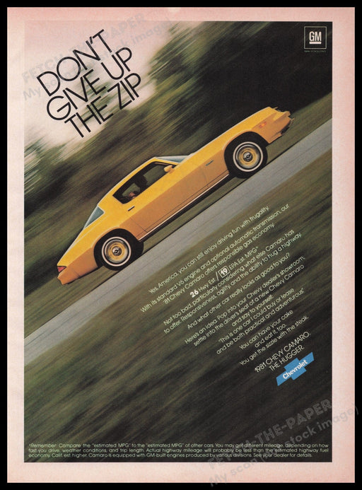 Chevrolet Camaro The Hugger 1980s Print Advertisement Ad 1981 "Don't give up" Fetch-the-Paper