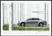 Chevrolet Malibu 2000s Print Advertisement (2 page) 2009 Car Birch Tree Forest Fetch-the-Paper