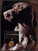 Chivas Regal 1990s Print Advertisement Ad 1992 German Hair Pointer Dog Fetch-the-Paper