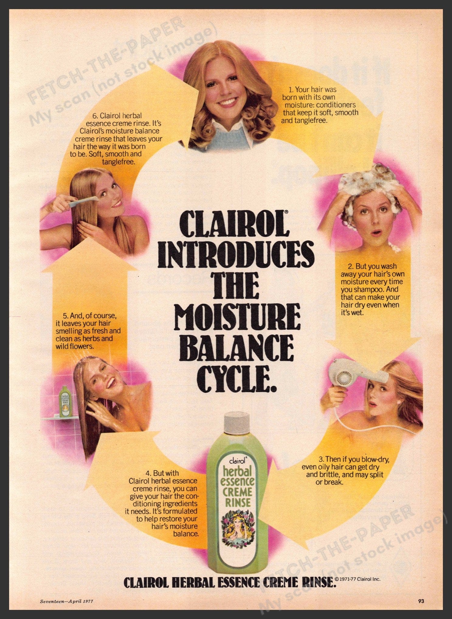Vintage 1977 Clairol Herbal Essence Ad - Moisture Balance Cycle — Fetch ...