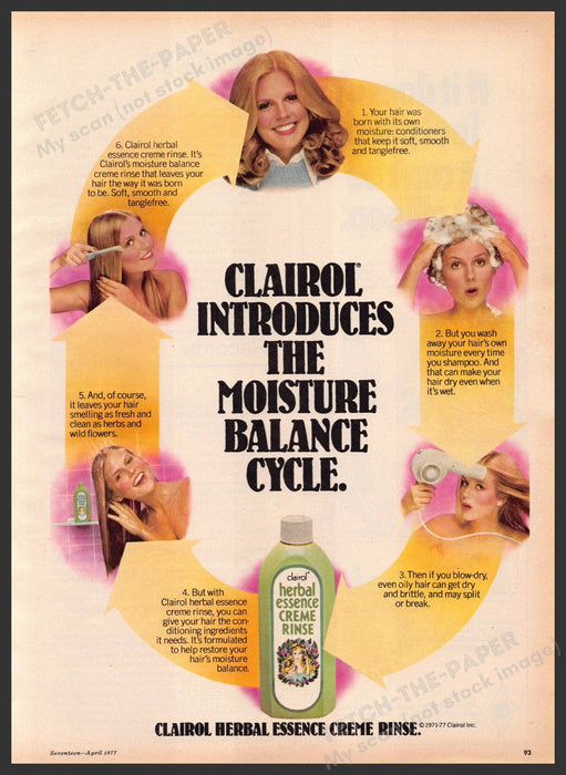Clairol Herbal Essence 1970s Print Advertisement 1977 Moisture Balance Cycle Clairol