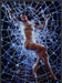 Diamond.com Laetitia Casta Spider Web 2000s Print Advertisement Ad 2000 Bare Fetch-the-Paper