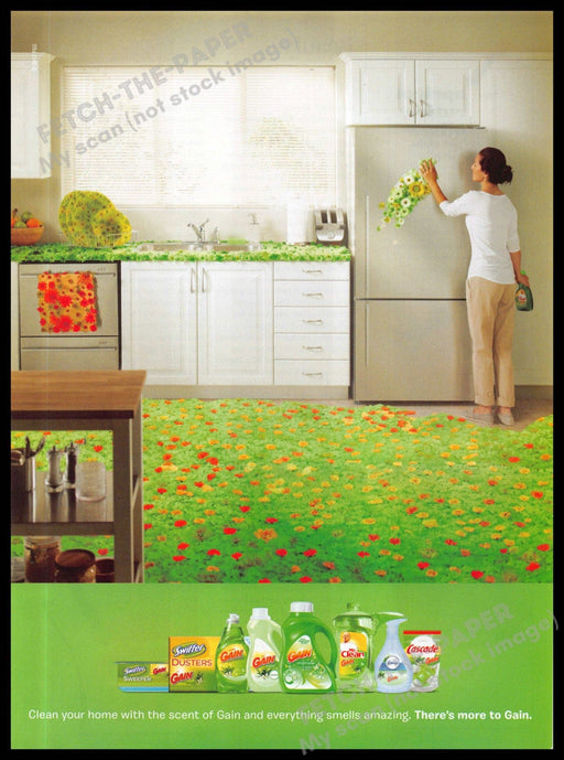 Gain 2010s Magazine Print Advertisement 2013 Kitchen Cleaning Products Green Gain