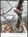 Giuseppe Zanotti 2000s Print Advertisement 2007 Standing on a Mirror Fetch-the-Paper