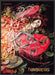 Havaianas 2000s Print Advertisement 2009 Flip Flops Ad Fetch-the-Paper