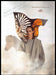 Hermes 2010s Magazine Print Ad 2014 Metamorphosis Icelandic Pony Hermes