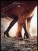Hermes Footwear 2010s Magazine Print Ad 2014 Legs Hosiery Metamorphosis Pony Hermes