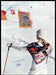 Hermes Paris 2010s Print Advertisement 2013 Scarfs Snow Flags Hermes Paris