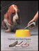 Hush Puppies Shoes Basset Hound Dog 1980s Print Advertisement Ad 1988 Fetch the Paper!